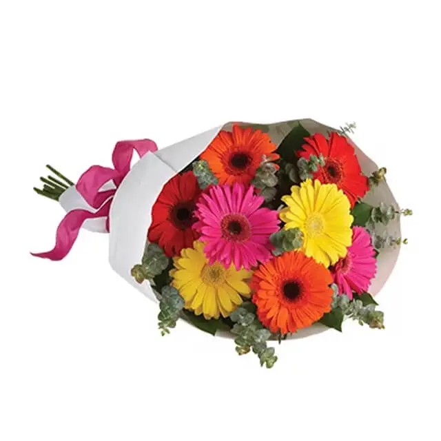 Gerbera Brights - Get Well Soon