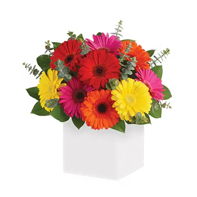 Glorious Gerberas Arrangement - Wedding