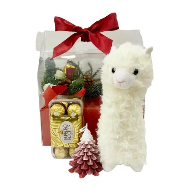 Mini Alpaca Hamper - Christmas 2023