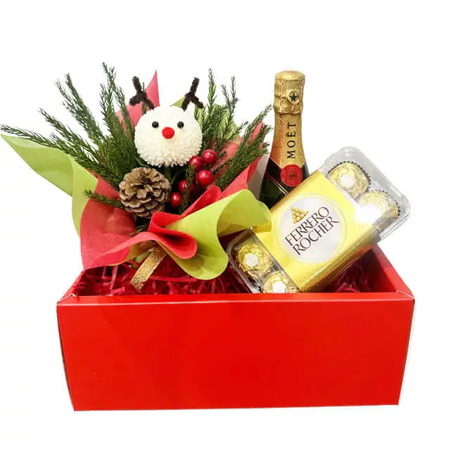 Mini Champagne Rudolph Hamper - Christmas 2023